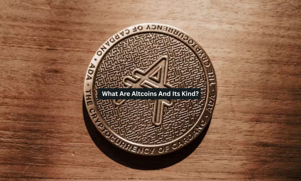 What Are Altcoins